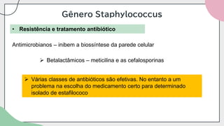 Gênero Staphylococcus
• Resistência e tratamento antibiótico
Antimicrobianos – inibem a biossíntese da parede celular
➢ Betalactâmicos – meticilina e as cefalosporinas
➢ Várias classes de antibióticos são efetivas. No entanto a um
problema na escolha do medicamento certo para determinado
isolado de estafilococo
 