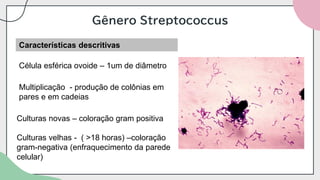 Gênero Streptococcus
Características descritivas
Célula esférica ovoide – 1um de diâmetro
Multiplicação - produção de colônias em
pares e em cadeias
Culturas novas – coloração gram positiva
Culturas velhas - ( >18 horas) –coloração
gram-negativa (enfraquecimento da parede
celular)
 