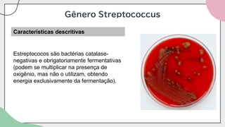 Gênero Streptococcus
Características descritivas
Estreptococos são bactérias catalase-
negativas e obrigatoriamente fermentativas
(podem se multiplicar na presença de
oxigênio, mas não o utilizam, obtendo
energia exclusivamente da fermentação).
 