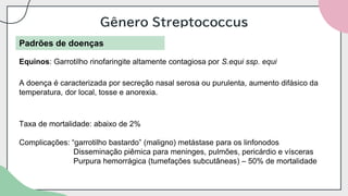 Gênero Streptococcus
Padrões de doenças
Equinos: Garrotilho rinofaringite altamente contagiosa por S.equi ssp. equi
A doença é caracterizada por secreção nasal serosa ou purulenta, aumento difásico da
temperatura, dor local, tosse e anorexia.
Taxa de mortalidade: abaixo de 2%
Complicações: “garrotilho bastardo” (maligno) metástase para os linfonodos
Disseminação piêmica para meninges, pulmões, pericárdio e vísceras
Purpura hemorrágica (tumefações subcutâneas) – 50% de mortalidade
 