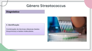 Gênero Streptococcus
Diagnóstico
4. Identificação
Combinação de técnicas clássicas (testes
bioquímicos) e testes moleculares.
 