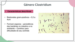 Gênero Clostridium
• Características descritivas
• Bastonetes gram-positivos – 0,2 a
4um
• Formam esporos – persistência
das bactérias no intestino e no
ambiente – Contribui para
dificuldade de seu controle
 