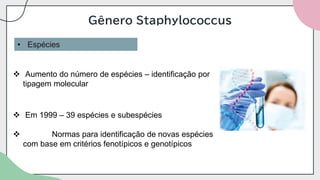 Gênero Staphylococcus
• Espécies
❖ Aumento do número de espécies – identificação por
tipagem molecular
❖ Em 1999 – 39 espécies e subespécies
❖ Normas para identificação de novas espécies
com base em critérios fenotípicos e genotípicos
 
