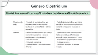 Gênero Clostridium
Clostrídios neurotóxicos – Clostridium botulinum e Clostridium tetani
 