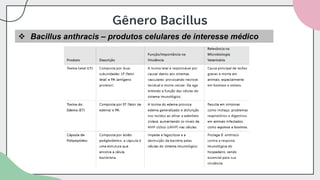 Gênero Bacillus
❖ Bacillus anthracis – produtos celulares de interesse médico
 