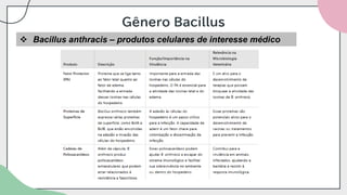 Gênero Bacillus
❖ Bacillus anthracis – produtos celulares de interesse médico
 