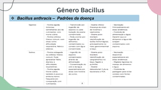 Gênero Bacillus
❖ Bacillus anthracis – Padrões da doença
 
