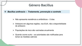 Gênero Bacillus
❖ Bacillus anthracis – Tratamento, prevenção e controle
➢ Não apresenta resistência a antibióticos – 5 dias
➢ Antissoro em algumas regiões, nos EUA, não a disponibilidade
de antissoro
➢ Populações de risco são vacinadas anualmente
➢ Quando ocorre surto – as autoridades são notificadas para
tomar as medidas cabíveis
 