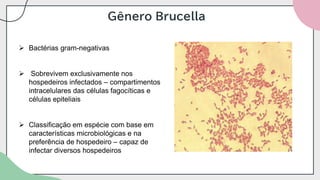 Gênero Brucella
➢ Bactérias gram-negativas
➢ Sobrevivem exclusivamente nos
hospedeiros infectados – compartimentos
intracelulares das células fagocíticas e
células epiteliais
➢ Classificação em espécie com base em
características microbiológicas e na
preferência de hospedeiro – capaz de
infectar diversos hospedeiros
 