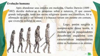 Aula 3- 6º HIS - As origens da humanidade, seus deslocamentos e os ...