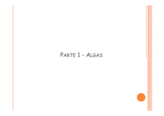 PARTE 1 - ALGAS
 