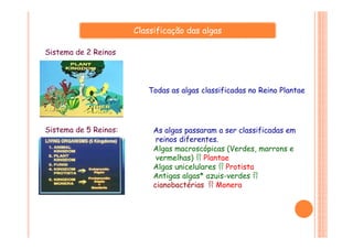 Todas as algas classificadas no Reino Plantae
Sistema de 2 Reinos
Classificação das algas
Sistema de 5 Reinos: As algas passaram a ser classificadas em
reinos diferentes.
Algas macroscópicas (Verdes, marrons e
vermelhas)  Plantae
Algas unicelulares  Protista
Antigas algas* azuis-verdes 
cianobactérias  Monera
 