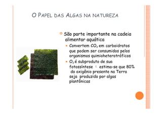 O PAPEL DAS ALGAS NA NATUREZA
 São parte importante na cadeia
alimentar aquática
⚫ Convertem CO2 em carboidratos
que podem ser consumidos pelos
organismos quimioheterotróficos
⚫ O2 é subproduto de sua
fotossíntese  estima-se que 80%
do oxigênio presente na Terra
seja produzido por algas
plantônicas
 
