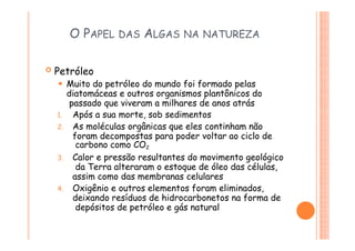  Petróleo
⚫ Muito do petróleo do mundo foi formado pelas
diatomáceas e outros organismos plantônicos do
passado que viveram a milhares de anos atrás
1. Após a sua morte, sob sedimentos
2. As moléculas orgânicas que eles continham não
foram decompostas para poder voltar ao ciclo de
carbono como CO2
3. Calor e pressão resultantes do movimento geológico
da Terra alteraram o estoque de óleo das células,
assim como das membranas celulares
4. Oxigênio e outros elementos foram eliminados,
deixando resíduos de hidrocarbonetos na forma de
depósitos de petróleo e gás natural
O PAPEL DAS ALGAS NA NATUREZA
 