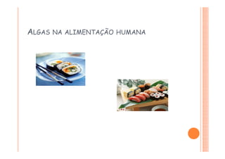 ALGAS NA ALIMENTAÇÃO HUMANA
 