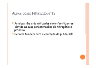 ALGAS COMO FERTILIZANTES
 As algas têm sido utilizadas como fertilizantes
devido as suas concentrações de nitrogênio e
potássio
 Servem também para a correção do pH do solo
 