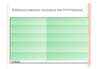 DOENÇAS HUMANAS CAUSADAS POR FITOTOXINAS
Sintomas Causas
Perda de memória e distúrbios
gastrintestinais
Ingestão de molusco (mexilhão) contendo
toxina de Nuzchia pungens, uma
diatomácea
Distúrbios gastrintestinais,
neurológicos e cardiovasculares:
pode causar paralisia
Ingestão de peixe contendo toxinas de
Gambierdiscus toxicus, Prorocenirum
mexicanum
Envenenamento paralítico por
molusco (neurológico)
Ingestão de moluscos (ostras, mariscos).
As ondas podem originar aerossóis, que
quando inalados podem produzir sintomas
respiratórios semelhantes a asma
Distúrbios neurológicos
gastrintestinais e vesículas
cutâneas
Ingestão ou contato com toxinas
do dinoflagelado Pfiesteria piscicida
 