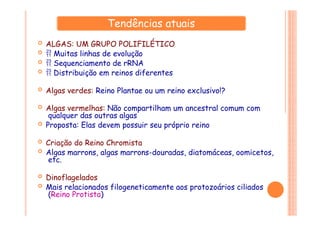 Tendências atuais
 ALGAS: UM GRUPO POLIFILÉTICO
  Muitas linhas de evolução
  Sequenciamento de rRNA
  Distribuição em reinos diferentes
 Algas verdes: Reino Plantae ou um reino exclusivo!?
 Algas vermelhas: Não compartilham um ancestral comum com
qualquer das outras algas
 Proposta: Elas devem possuir seu próprio reino
 Criação do Reino Chromista
 Algas marrons, algas marrons-douradas, diatomáceas, oomicetos,
etc.
 Dinoflagelados
 Mais relacionados filogeneticamente aos protozoários ciliados
(Reino Protista)
 