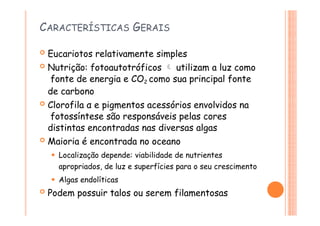 CARACTERÍSTICAS GERAIS
 Eucariotos relativamente simples
 Nutrição: fotoautotróficos  utilizam a luz como
fonte de energia e CO2 como sua principal fonte
de carbono
 Clorofila α e pigmentos acessórios envolvidos na
fotossíntese são responsáveis pelas cores
distintas encontradas nas diversas algas
 Maioria é encontrada no oceano
⚫ Localização depende: viabilidade de nutrientes
apropriados, de luz e superfícies para o seu crescimento
⚫ Algas endolíticas
 Podem possuir talos ou serem filamentosas
 