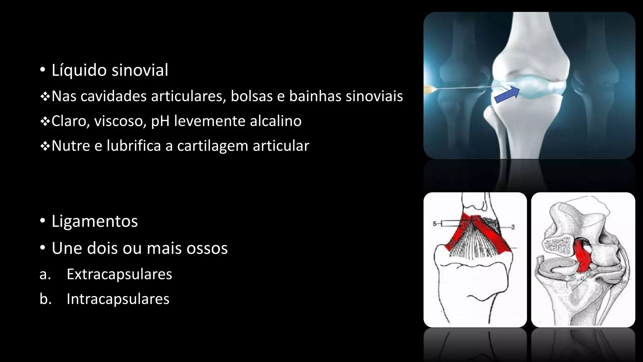 Artrologia E Sindesmologia Veterin ria PPTX Artrologia E Sindesmologia Veterin ria PPTX