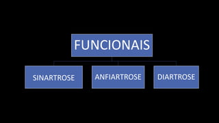 FUNCIONAIS
SINARTROSE ANFIARTROSE DIARTROSE
 