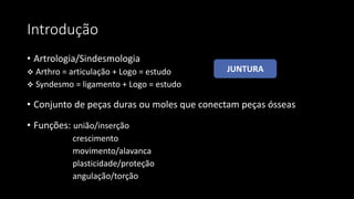 Introdução
• Artrologia/Sindesmologia
 Arthro = articulação + Logo = estudo
 Syndesmo = ligamento + Logo = estudo
• Conjunto de peças duras ou moles que conectam peças ósseas
• Funções: união/inserção
crescimento
movimento/alavanca
plasticidade/proteção
angulação/torção
JUNTURA
 