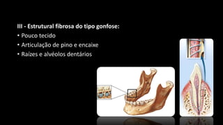 III - Estrutural fibrosa do tipo gonfose:
• Pouco tecido
• Articulação de pino e encaixe
• Raízes e alvéolos dentários
 