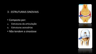 3 - ESTRUTURAIS SINOVIAIS
• Composta por:
a. Estruturas da articulação
b. Estruturas acessórias
• Não tendem a sinostose
 