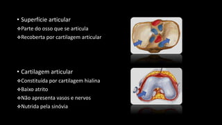 • Superfície articular
Parte do osso que se articula
Recoberta por cartilagem articular
• Cartilagem articular
Constituída por cartilagem hialina
Baixo atrito
Não apresenta vasos e nervos
Nutrida pela sinóvia
 