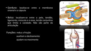 • Gordura: localiza-se entre a membrana
sinovial e a cápsula
• Bolsa: localizam-se entre a pele, tendão,
ligamento, músculo e o osso, tecido conjuntivo
que limita a cavidade. Não são parte da
articulação
Funções: reduz a fricção
auxiliam o deslizamento
ajudam no movimento
 