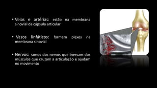 • Veias e artérias: estão na membrana
sinovial da cápsula articular
• Vasos linfáticos: formam plexos na
membrana sinovial
• Nervos: ramos dos nervos que inervam dos
músculos que cruzam a articulação e ajudam
no movimento
 