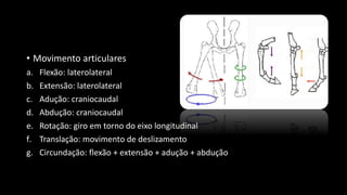 • Movimento articulares
a. Flexão: laterolateral
b. Extensão: laterolateral
c. Adução: craniocaudal
d. Abdução: craniocaudal
e. Rotação: giro em torno do eixo longitudinal
f. Translação: movimento de deslizamento
g. Circundação: flexão + extensão + adução + abdução
 