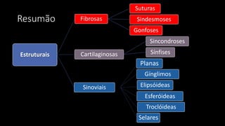 Resumão
Estruturais
Fibrosas
Suturas
Sindesmoses
Gonfoses
Cartilaginosas
Sincondroses
Sínfises
Planas
Gínglimos
Elipsóideas
Esferóideas
Troclóideas
Selares
Sinoviais
 