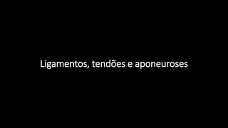Ligamentos, tendões e aponeuroses
 