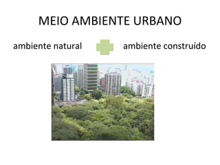 MEIO AMBIENTE URBANO ambiente natural ambiente construído 