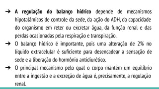 AULA 3 - BALANÇO HÍDRICO atuação do tec. em enfermagem | PDF