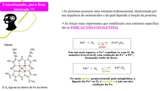 ★As proteínas possuem uma estrutura tridimensional, determinada por
sua sequência de aminoácidos e da qual depende a função da proteína;
★As forças mais importantes que estabilizam essa estrutura específica
são as FORÇAS NÃO-COVALENTES;
Conceituando, para ficar
inteirado !!!
Heme
O O2 liga-se ao átomo de Fe do heme.
 