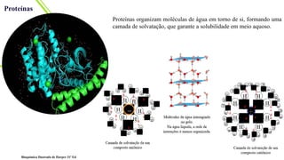 Proteínas
Proteínas organizam moléculas de água em torno de si, formando uma
camada de solvatação, que garante a solubilidade em meio aquoso.
Bioquímica Ilustrada de Harper 31ª Ed
 