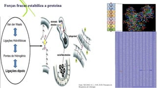 Forças fracas estabiliza a proteína
Fonte: NELSON, D. L.; COX, M.M. Princípios de
Bioquímica de Lehninger
 