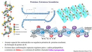 ★ Arranjo espacial dos aminoácidos na sequência primária da proteína resultante
da formação de pontes de H.
★ Existem duas conformações espaciais regulares para a cadeia polipeptídica:
a estrutura em Hélice α e a estrutura β também chamada Folha β-pregueada.
Proteínas: Estruturas Secundárias
Bioquímica Ilustrada de Harper 31ª Ed
 