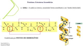 Estabilizada por PONTES DE HIDROGÊNIO
Proteínas: Estruturas Secundárias
α - hélice - A cadeia se retorce, assumindo forma semelhante a um bastão (helicoidal).
Fonte: NELSON, D. L.;
COX, M.M. Princípios de
Bioquímica de Lehninger
 