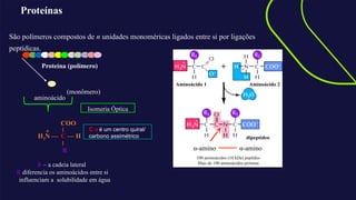 Proteínas
São polímeros compostos de n unidades monoméricas ligados entre si por ligações
peptídicas.
Proteína (polímero)
(monômero)
aminoácido
H3N —
COO
C — H
R
+
R – a cadeia lateral
R diferencia os aminoácidos entre si
influenciam a solubilidade em água
Aminoácido 1 Aminoácido 2
α-amino α-amino
100 aminoácidos (10 kDa) peptídeo
Mais de 100 aminoácidos proteína
dipeptídeo
Isomeria Óptica
C 𝛼 é um centro quiral/
carbono assimétrico
 