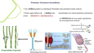 Proteínas: Estruturas Secundárias
★As α-hélices podem se entrelaçar formando uma estrutura muito estável.
★Estas super hélices de α-hélices são encontradas em várias proteínas estruturais,
como: MIOSINA e QUERATINA.
Propriedades Especiais
100nm
Molecular Biology of the cell, 2008
As MIOSINAS são uma ampla superfamília
de mecanoquímicas motoras.
 