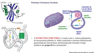 Proteínas: Estruturas Terciária
Molecular Biology of the Cell. Alberts, B. e cols 2008
★ A ESTRUTURA TERCIÁRIA é o modo como a cadeia polipeptídica
de uma proteína globular se dobra conferindo a estrutura tridimensional
apresentada por esta proteína, determinada pela interação a longa
distância dos grupos R dos aminoácidos.
 
