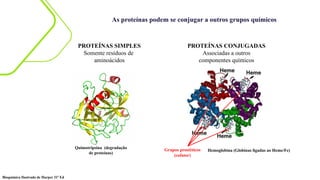 As proteínas podem se conjugar a outros grupos químicos
PROTEÍNAS SIMPLES
Somente resíduos de
aminoácidos
PROTEÍNAS CONJUGADAS
Associadas a outros
componentes químicos
Quimotripsina (degradação
de proteínas)
Grupos prostéticos
(cofator)
Hemoglobina (Globinas ligadas ao Heme/Fe)
Bioquímica Ilustrada de Harper 31ª Ed
 