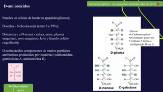 AQUI ENTRA
A CHAMADA
EM DESTAQUE
Paredes de células de bactérias (peptideoglicano);
D-serina - bicho-da-seda (entre 5 e 59%);
D-alanina e a D-serina - saliva, urina, plasma
sanguíneo, soro sanguíneo, leite e líquido céfalo-
raquidiano);
D-aminoácidos componentes de muitos peptídeos
antibióticos produzidos por bactérias (valinomicina,
gramicidina A, actinomicina D).
D-aminoácidos
Isomeria óptica: os açúcares naturais são de série D.
*
D- Gliceraldeído
1 carbono quiral
D-glicose
D-manose D-galactose
Glicose:
•4 Carbonos quirais
•16 isômeros possíveis
• Carbono 5 define a
configuração D- ou L-
D- Gliceraldeído
1 C quiral
*
 