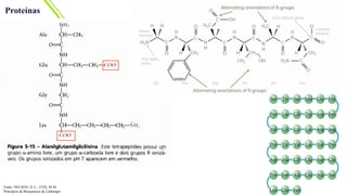 Proteínas
Fonte: NELSON, D. L.; COX, M.M.
Princípios de Bioquímica de Lehninger
 