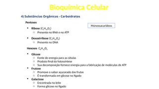 Bioquímica Celular
4) Substâncias Orgânicas - Carboidratos
Pentoses
 Ribose (C5H10O5)
o Presente no RNA e no ATP
 Desoxirribose (C5H10O4)
o Presente no DNA
Hexoses C6H12O6
 Glicose
o Fonte de energia para as células
o Produto final da fotossíntese
o Sua decomposição fornece energia para a fabricação de moléculas de ATP
 Frutose
o Promove o sabor açucarado das frutas
o É transformada em glicose no fígado
 Galactose
o Encontrada no leite
o Forma glicose no fígado
Monossacarídeos
 