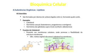 Bioquímica Celular
4) Substâncias Orgânicas - Lipídeos
III) Esteróides
 São formados por átomos de carbono ligados entre si, formando quatro anéis.
 Exemplos
o Colesterol
o Hormônios sexuais (testosterona, progesterona e estrógeno)
o Hormônios das glândulas supra-renais (cortisol e aldosterona)
 Funções do Colesterol:
o Presente nas membranas celulares, onde promove a flexibilidade da
estrutura membranar.
• Obs.: Célula vegetal não possui colesterol na membrana.
 