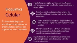 Metabolismo: as reações químicas que transformam
nutrientes em energia e moléculas para o crescimento e
reparo celular.
Bioquímica
Celular
É a área da biologia que
investiga a composição e as
propriedades químicas dos
organismos vivos tais como:
Proteínas: a síntese, dobramento e funções das
proteínas celulares, incluindo enzimas e proteínas
estruturais.
Ácidos nucleicos: a estrutura e função do DNA e
RNA, incluindo a replicação, transcrição e tradução
genética.
Membranas celulares: a estrutura e função das
membranas celulares, incluindo transporte de
substâncias e comunicação celular.
Regulação celular: os mecanismos que controlam a
expressão gênica e a resposta celular a estímulos
internos e externos.
 